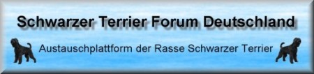 Banner_SRT_Forum